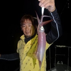 ALBATROSS 釣果 投稿