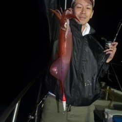 ALBATROSS 釣果 投稿