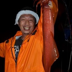 ALBATROSS 釣果 投稿