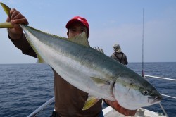 ALBATROSS 釣果 投稿