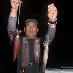 ALBATROSS 釣果 投稿