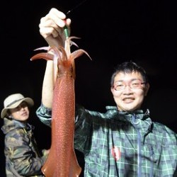 ALBATROSS 釣果 投稿