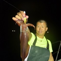 ALBATROSS 釣果 投稿