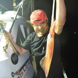 ALBATROSS 釣果 投稿