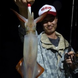 ALBATROSS 釣果 投稿