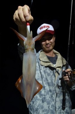 ALBATROSS 釣果 投稿