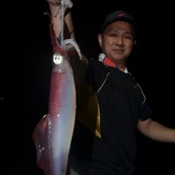 ALBATROSS 釣果 投稿