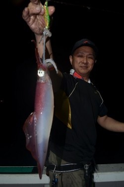 ALBATROSS 釣果 投稿