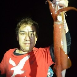 ALBATROSS 釣果 投稿