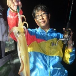 ALBATROSS 釣果 投稿