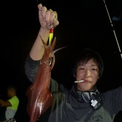 ALBATROSS 釣果 投稿