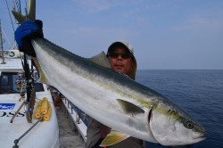 ALBATROSS 釣果 投稿