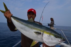 ALBATROSS 釣果 投稿