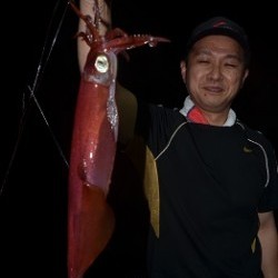 ALBATROSS 釣果 投稿