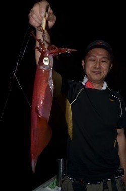 ALBATROSS 釣果 投稿