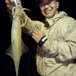 ALBATROSS 釣果 投稿