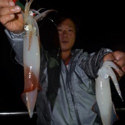 ALBATROSS 釣果 投稿