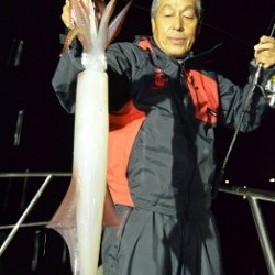 ALBATROSS 釣果 投稿