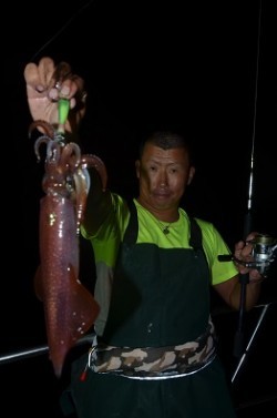 ALBATROSS 釣果 投稿