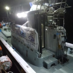 やっぱり楽しいイカメタル