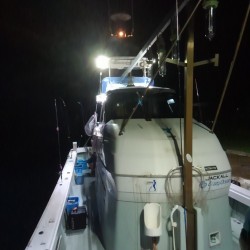 敦賀でイカメタル