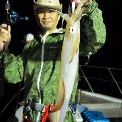 ALBATROSS 釣果 投稿