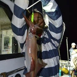 ALBATROSS 釣果 投稿