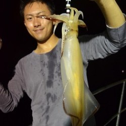 ALBATROSS 釣果 投稿