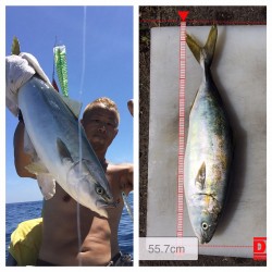 イカメタルとナブラ