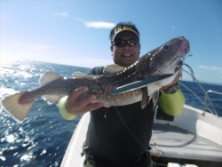 ハピネスⅡ 釣果