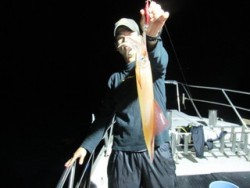 ジギング船 BLUEWATER 釣果 投稿