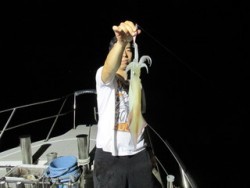 ジギング船 BLUEWATER 釣果