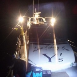 Ｙ’ｓ 釣果