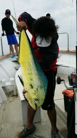 釣福丸 釣果 投稿