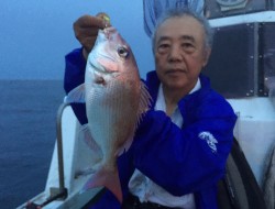 けいせい丸 釣果