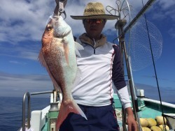 けいせい丸 釣果