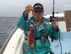 けいせい丸 釣果