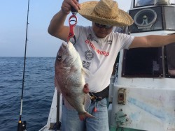 けいせい丸 釣果