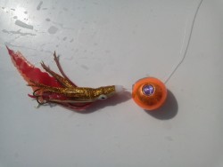 飛翔 釣果 投稿