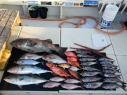 Fishing Guide OCEAN（沖吉丸） 釣果