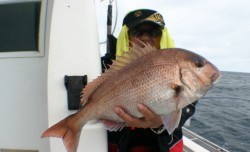 佐藤屋 釣果 投稿