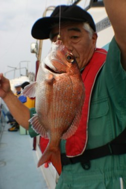 佐藤屋 釣果 投稿