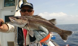 佐藤屋 釣果 投稿