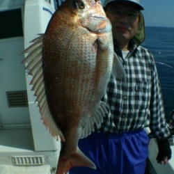 佐藤屋 釣果 投稿