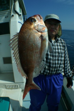 佐藤屋 釣果 投稿