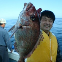 佐藤屋 釣果 投稿