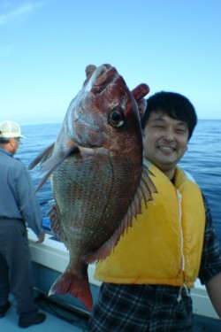 佐藤屋 釣果 投稿