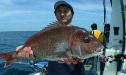 佐藤屋 釣果 投稿
