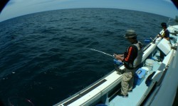 佐藤屋 釣果 投稿