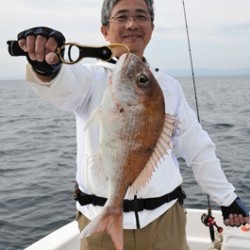 Marine T Design　マリンティーデザイン 釣果 投稿